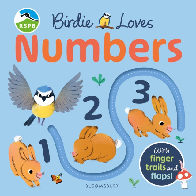 RSPB Birdie Loves Numbers