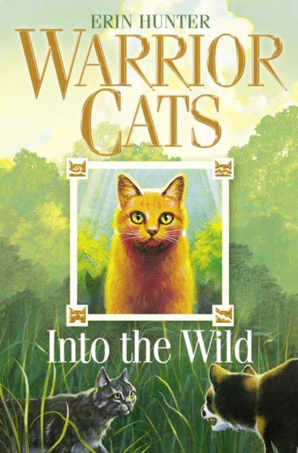 Into the Wild : Book 1-9780007217878