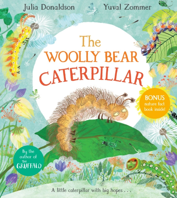 The Woolly Bear Caterpillar-9781529012200
