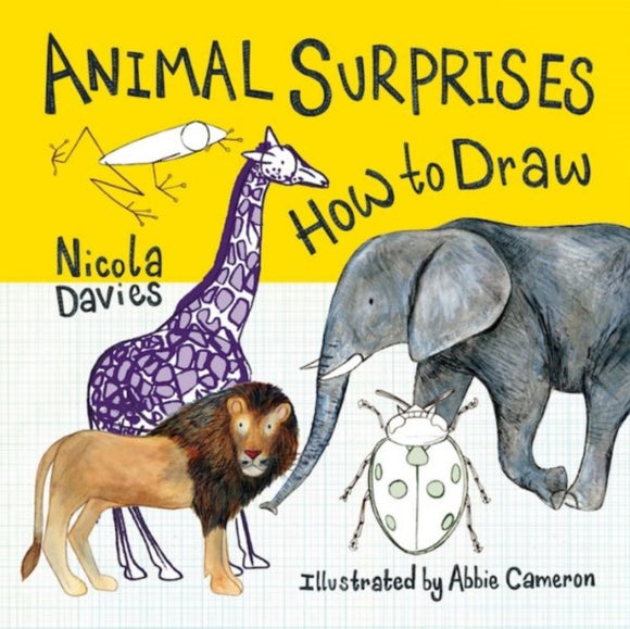 Animal Surprises: How to Draw-9781912050567